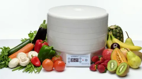 Excalibur Food Dehydrator