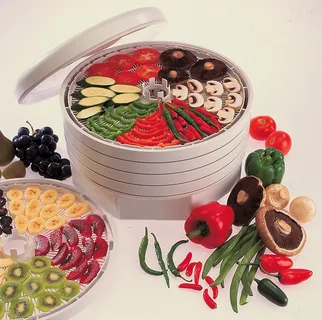 Ezidri food dehydrator