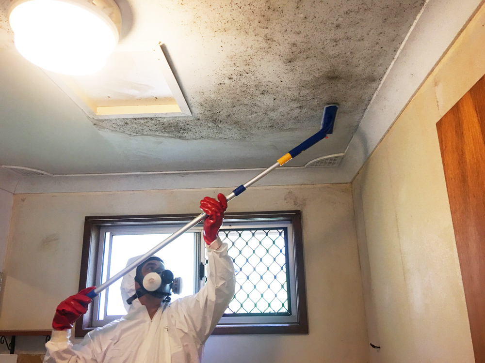 mould cleaning services Sydney