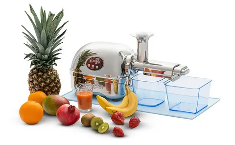 Angel Juicer 8500