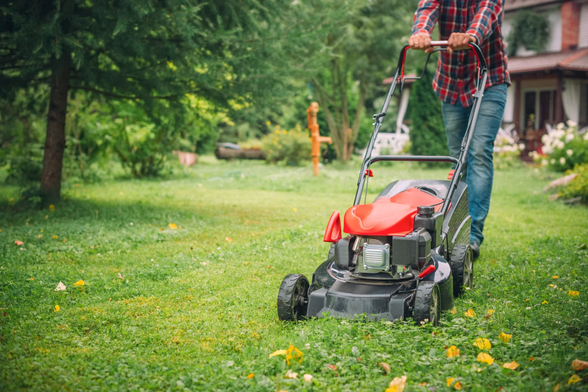 Push Mowers Brisbane