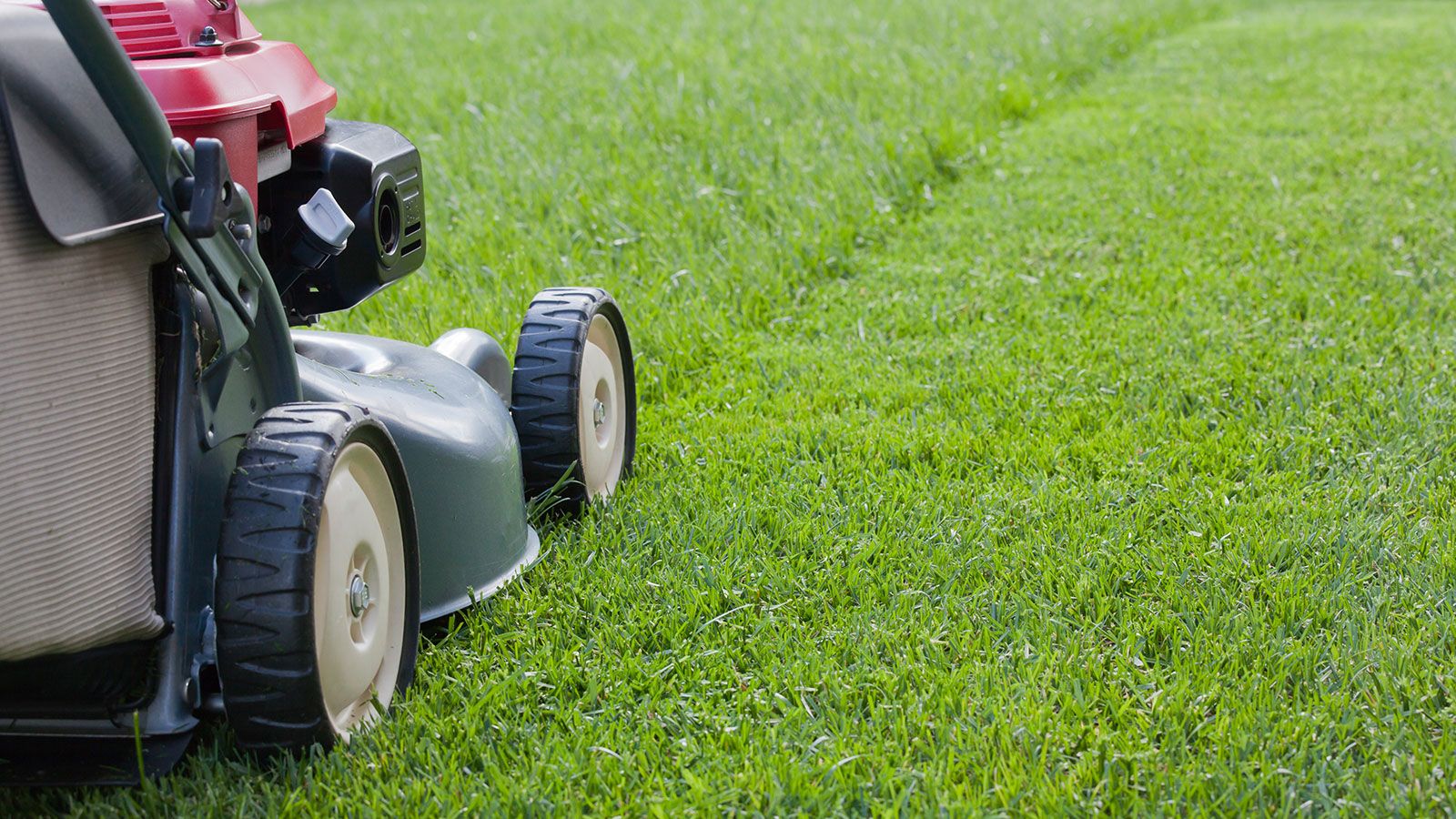 Lawn Mowing Trailers